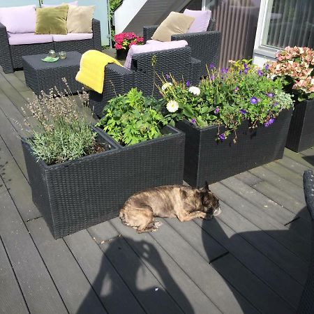 Brøndums Bed&Breakfast Hjørring Eksteriør bilde