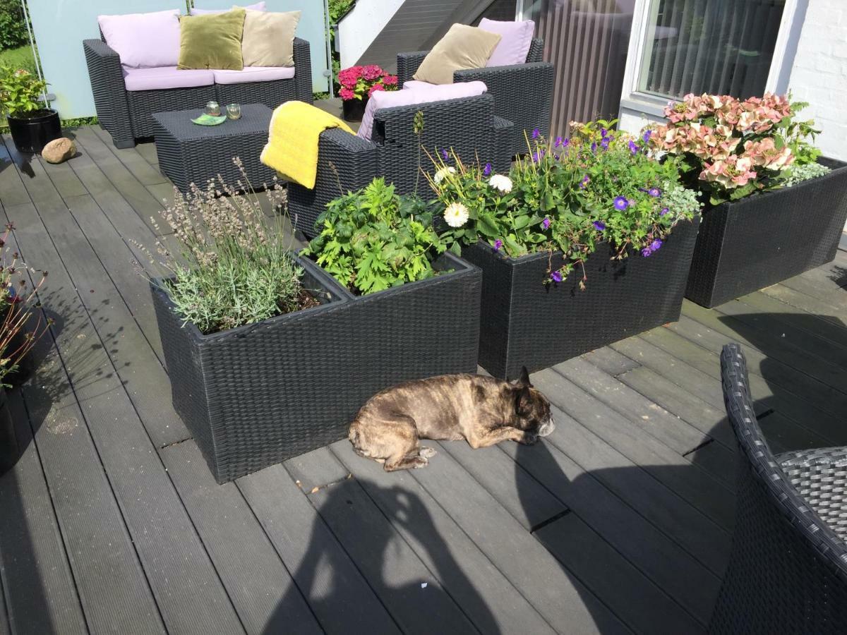 Brøndums Bed&Breakfast Hjørring Eksteriør bilde
